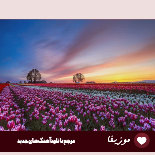 آهنگ از تو بگذشتم و بگذاشتمت با دگران با صدای زن هوش مصنوعی