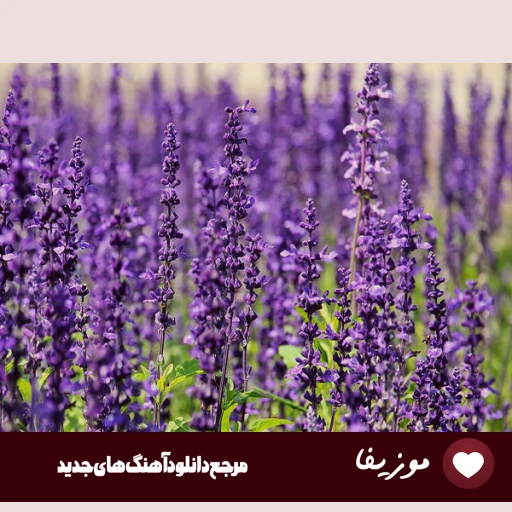 آهنگ روسی kosandra از میاگی اند اندی پاندا ریمیکس